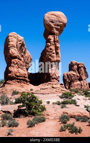 Felsformationen im Garden of Eden im Arches National Park - Moab, Utah Stockfoto