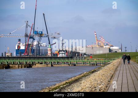 Autotransporterschiff, GOLIATH-FÜHRER, am Frachtterminal Columbuskaje, Hafenkrane, historischer Pingelturm, Weserdeich, im Seehafen von Stockfoto