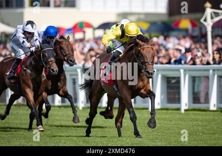 Ascot, Vereinigtes Königreich. Samstag, 27. Juli 2024. Elnajmm und Tom Marquand gewinnen die Betfred Handicap Stakes für Trainer William Haggas und Besitzer Scheich Ahmed Al Maktoum. Credit JTW equine Images / Alamy Live News Stockfoto