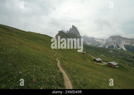 Blick über die Bergebene von Seceda Stockfoto