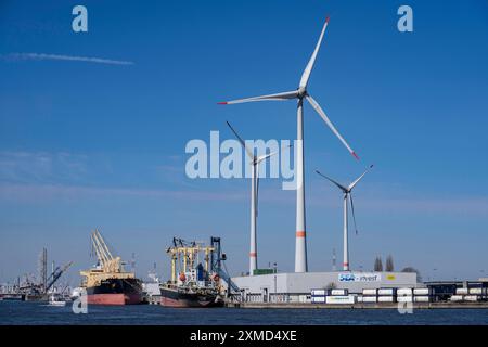 Der Hafen von Antwerpen an der Schelde ist der zweitgrößte Seehafen Europas, Windturbinen im Hafengebiet in Flandern, Belgien Stockfoto