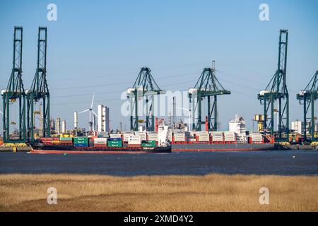 Der Hafen Antwerpen an der Schelde ist der zweitgrößte Seehafen Europas, Container Terminal lPSA Europa Terminal in Flandern, Belgien Stockfoto