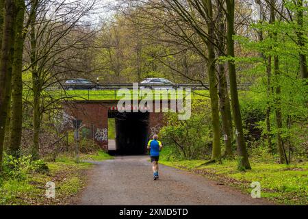 Der Sterkrader Wald in Oberhausen, am Autobahndreieck Oberhausen, wo die A2/A3A/A516 aufeinander treffen, soll auf 11 Hektar Wald erweitert werden Stockfoto