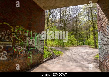 Der Sterkrader Wald in Oberhausen, am Autobahndreieck Oberhausen, wo die A2/A3A/A516 aufeinander treffen, soll auf 11 Hektar Wald erweitert werden Stockfoto