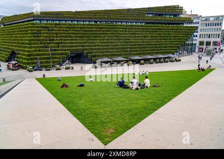 Grüne Fassade, bestehend aus über 30 000 Hainbuken, die eine gut 8 Kilometer lange Hecke auf dem Dach und der Fassade des Koe-Bogen-2-Gebäudes bilden Stockfoto