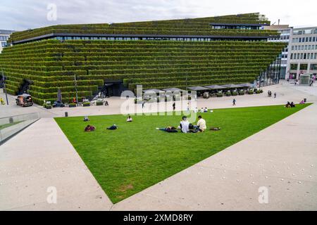 Grüne Fassade, bestehend aus über 30 000 Hainbuken, die eine gut 8 Kilometer lange Hecke auf dem Dach und der Fassade des Koe-Bogen-2-Gebäudes bilden Stockfoto