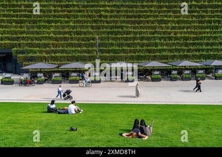Grüne Fassade, bestehend aus über 30 000 Hainbuken, die eine gut 8 Kilometer lange Hecke auf dem Dach und der Fassade des Koe-Bogen-2-Gebäudes bilden Stockfoto