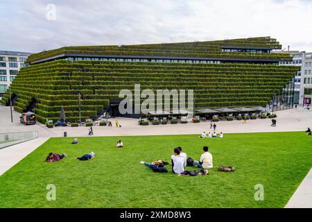 Grüne Fassade, bestehend aus über 30 000 Hainbuken, die eine gut 8 Kilometer lange Hecke auf dem Dach und der Fassade des Koe-Bogen-2-Gebäudes bilden Stockfoto