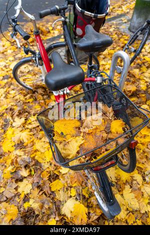 Herbst, Blätter, Fahrradparkplatz, Parkplatz, Fahrräder stehen auf Herbstlaub, Teppich aus Blättern Stockfoto