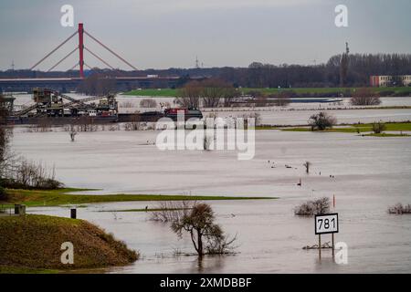 Hochwasser am Rhein bei Duisburg, Blick von Ruhrort nach Norden, über die Rheinwiesen von Duisburg-Homberg, bis zur Autobahnbrücke der A42 Stockfoto