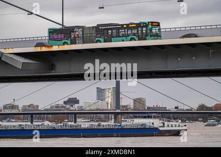 Frachtschiff, Rheinkniebrücke, Hochwasser des Rheins bei Düsseldorf, Nordrhein-Westfalen, Deutschland Stockfoto