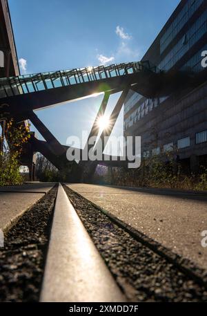 Kohlebergwerk Zollverein Weltnaturerbe, Rolltreppe zum Ruhrmuseum in der ehemaligen Kohlewaschanlage Essen Stockfoto