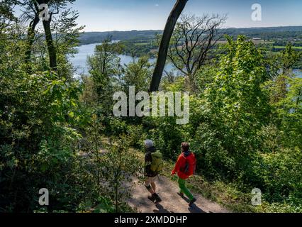 Wandern auf dem Baldeney Steig, einem Wanderweg rund um den Baldeney See in Essen, einem Ruhrreservoir, über die Ruhrhöhen, Essen, Nordrhein-Westfalen Stockfoto