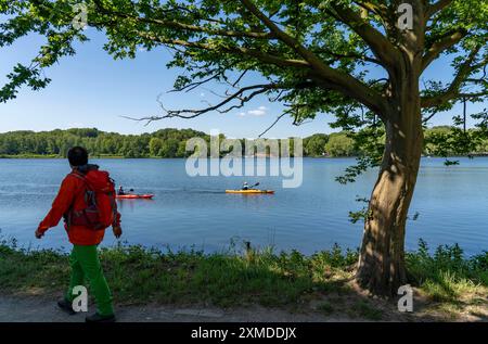 Wandern auf dem Baldeney Steig, einem Wanderweg rund um den Baldeney See in Essen, einem Ruhrreservoir, über die Ruhrhöhen, Essen, Nordrhein-Westfalen Stockfoto