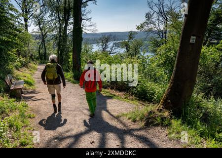 Wandern auf dem Baldeney Steig, einem Wanderweg rund um den Baldeney See in Essen, einem Ruhrreservoir, über die Ruhrhöhen, Essen, Nordrhein-Westfalen Stockfoto