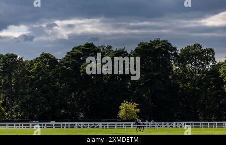 Albasheer wurde von Jockey Hollie Doyle gefahren, nachdem er das Whispering Angel Handicap während des QIPCO King George Day auf der Ascot Racecourse in Berkshire gewonnen hatte. Bilddatum: Samstag, 27. Juli 2024. Stockfoto