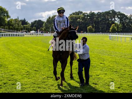 Albasheer wurde von Jockey Hollie Doyle gefahren, nachdem er das Whispering Angel Handicap während des QIPCO King George Day auf der Ascot Racecourse in Berkshire gewonnen hatte. Bilddatum: Samstag, 27. Juli 2024. Stockfoto