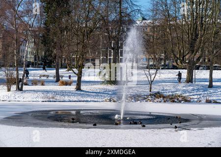 Winterwetter im Ruhrgebiet, Stadtgarten Essen, Stadtpark im Stadtzentrum, schneebedeckter, gefrorener Teich, Essen, Nordrhein-Westfalen Stockfoto