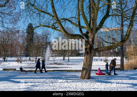 Winterwetter im Ruhrgebiet, Stadtgarten Essen, Stadtpark im Stadtzentrum, schneebedeckter, gefrorener Teich, Essen, Nordrhein-Westfalen Stockfoto