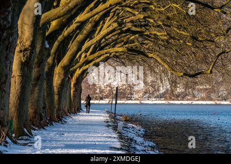 Winter, verschneite Landschaft, Winterspaziergang am Baldeney See, Platane Allee, Seeweg, Haus Scheppen, Essen, Nordrhein-Westfalen, Deutschland Stockfoto