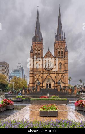 Außenansicht der St. Mary's Cathedral in Sydney, Australien, NSW. Stockfoto