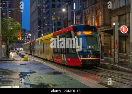 George Street Straßenbahnen im Regen mit Reflexionen in Sydney, Australien, NSW. Stockfoto