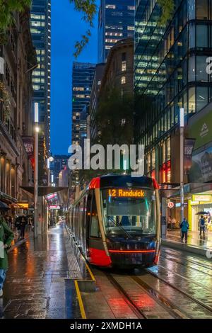 George Street Straßenbahnen im Regen mit Reflexionen in Sydney, Australien, NSW. Stockfoto