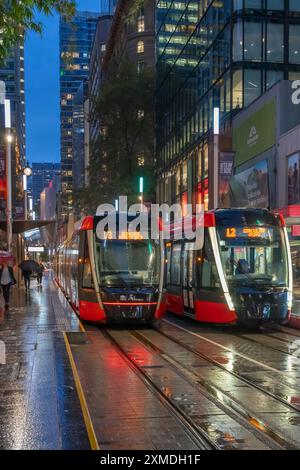 George Street Straßenbahnen im Regen mit Reflexionen in Sydney, Australien, NSW. Stockfoto