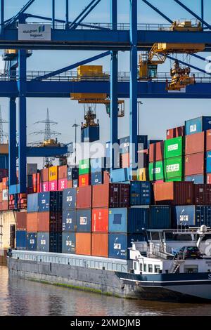 Containerfrachtschiff im Hafenbecken des Logport, Portalkrane im Container Handling Centre, trimodales Containerterminal, im Logport Stockfoto