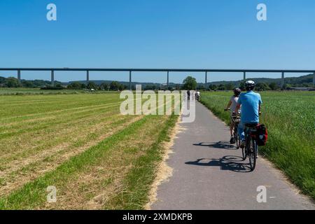 Radweg im Mendener Ruhrauen, Blick nach Osten in Richtung Mintarder Ruhrtalbrücke, Mühlheim an der Ruhr, Nordrhein-Westfalen, Deutschland Stockfoto