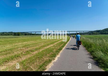 Radweg im Mendener Ruhrauen, Blick nach Osten in Richtung Mintarder Ruhrtalbrücke, Mühlheim an der Ruhr, Nordrhein-Westfalen, Deutschland Stockfoto