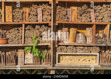 Modellgärten im Grugapark, Garten im Haus der Bienen, Insektenhotel, Gartenbau in verschiedenen Gartenstilen Essen, Nord Stockfoto