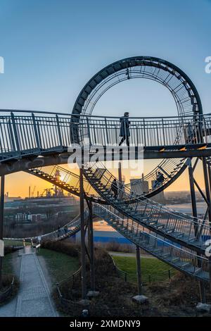 Wahrzeichen Angerpark Tiger & Schildkröte, Magic Mountain, begehbare Skulptur in Form einer Achterbahn an der Heinrich-Hildebrand-Hoehe-Verderbnisspitze, HKM Stockfoto