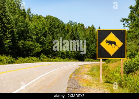 Elchwarnschild am Highway 60 im Algonquin Park in Ontario, Kanada Stockfoto