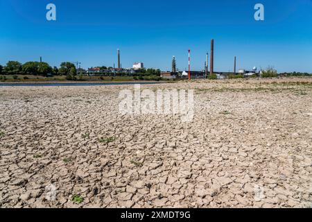 Rhein bei Duisburg, extrem Niedrigwasser, Rheinhöhe bei 168 cm, fallend, nach der langen Dürre das rechte Rheinufer, nahe Stockfoto