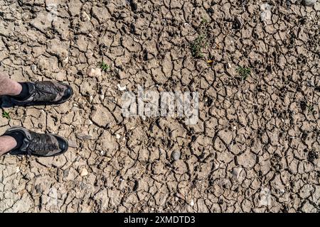 Rhein bei Duisburg, extrem Niedrigwasser, Rheinhöhe bei 168 cm, fällt, nach der langen Dürre fällt das rechte Rheinufer, nahe Stockfoto