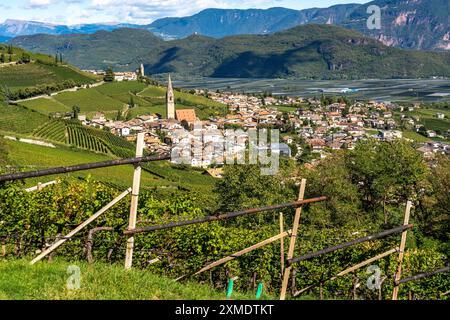 Weinbau, im Etschtal, in der Nähe des Dorfes Tramin an der Weinstraße, Blick von den Weinbergen auf das Dorf, Südtirol, große Flächen von Stockfoto