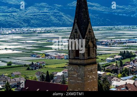 Apfelanbaugebiet und Weinbau, im Etschtal, Südtirol, große Anbaugebiete, in Südtirol über 18 400 Hektar Stockfoto