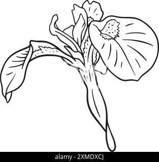 Rosidy Loved Lineart Mit Blumenmuster 21 Stock Vektor