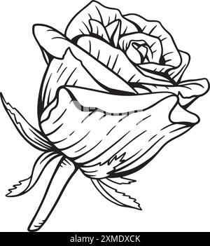 Rosidy Local Lineart 19 Stock Vektor