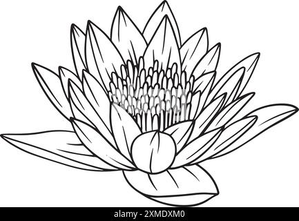Rosidy Detailed Floral Lineart 10 Stock Vektor