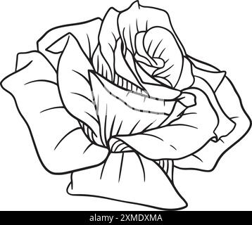 Rosidy Local Lineart 6 Stock Vektor