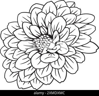 Rosidy Local Lineart 5 Stock Vektor