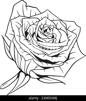 Rosidy Loved Lineart Mit Blumenmuster 3 Stock Vektor