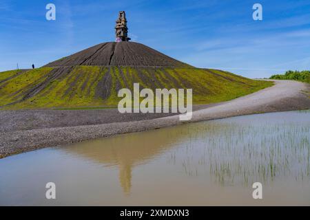 Rheinelbe-Grubenspitze in Gelsenkirchen, 100 Meter hohe Grubenspitze, Landschaftspark, mit der Skulptur Himmelsleiter, aus Betonteilen des Landschaftsparks Stockfoto