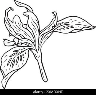 Rosidy Loved Lineart Mit Blumenmuster 2 Stock Vektor