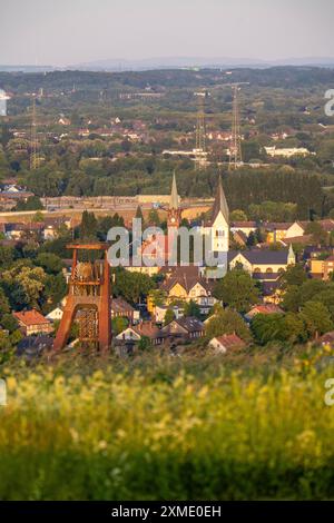 Wohnsiedlung auf dem Lande, Reihenhäuser, Mehrfamilienhäuser, Teile des ehemaligen Bergbaugutes in Recklinghausen-Hochlarmark, Triebwerk Stockfoto