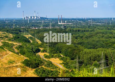 Blick von der Haniel-Verwüstungsspitze über die grüne Ruhrlandschaft nach Osten, über den Koellnischen Wald und die Schoettelheide-Verwüstungsspitze, mit Stockfoto