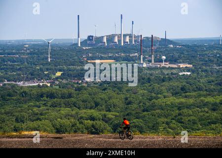 Blick von der Haniel-Bude-Spitze über die grüne Ruhrlandschaft nach Nordosten, über den Koellnischen Wald auf dem UNIPER Scholven-Kohlefeuer Stockfoto