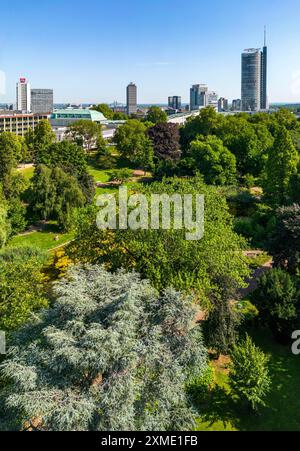 Die Skyline der Essener Innenstadt, mit dem RWE-Turm auf der rechten Seite und dem Stadtgarten davor, Nordrhein-Westfalen Stockfoto